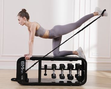 TS001 Commercial Dumbbell Storage Bench